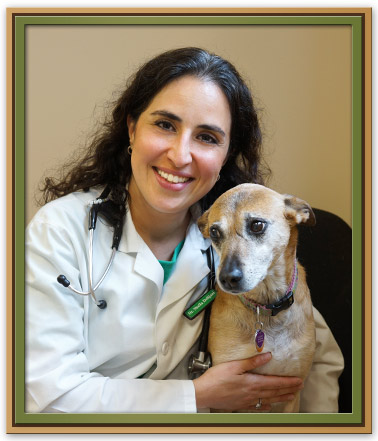 veterinary hospital in Glen Cove