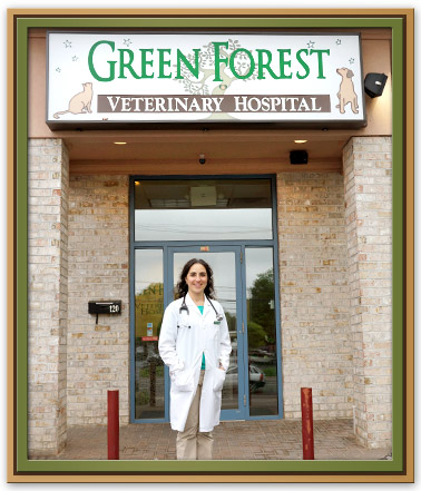 glen cove veterinary